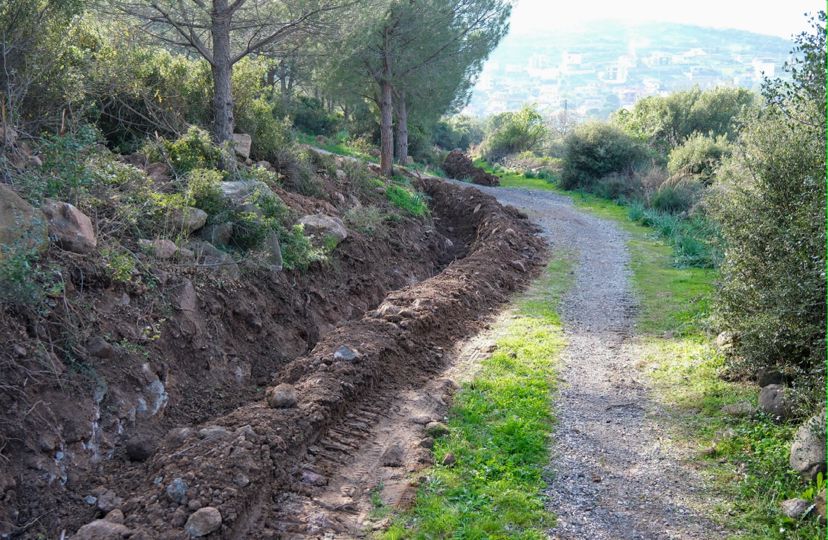 0910Ccbb 75F6 475B B574 A576D819888F