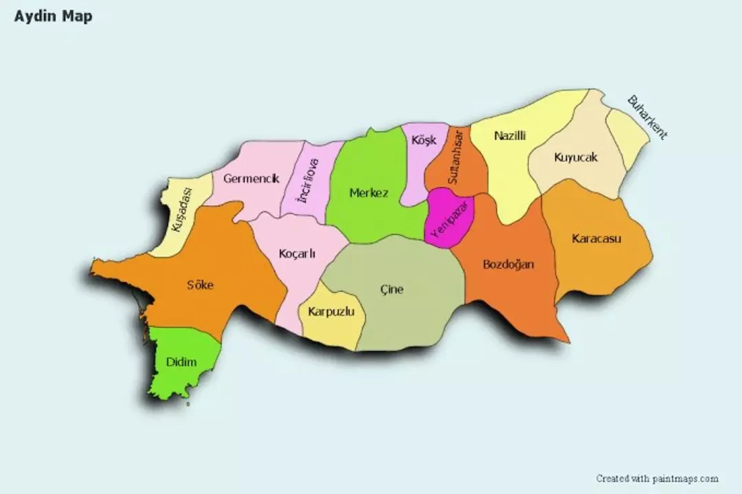 Depremin Ardindan Uzmanindan Uyarilar Aydinda Hangi Ilceler Guvenli 4