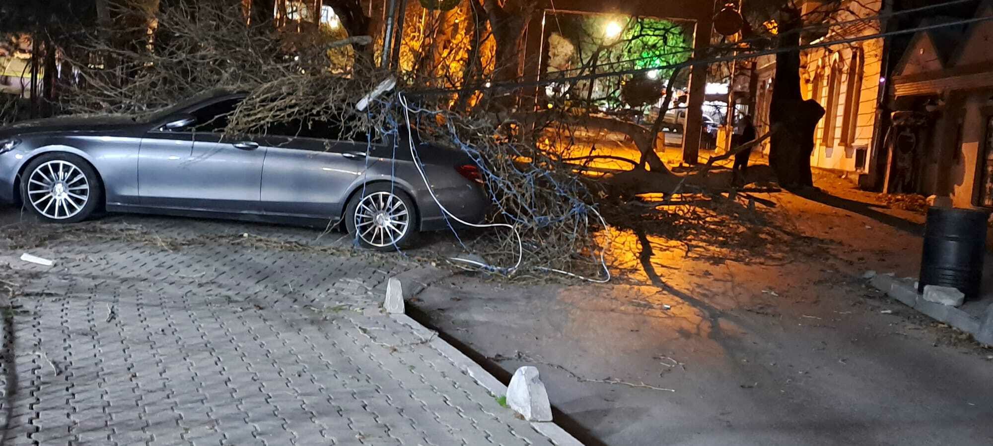 I Z M I R D E S I D D E T L I R U Z G A R O T O M O B I L I N U Z E 1103411 327560~1