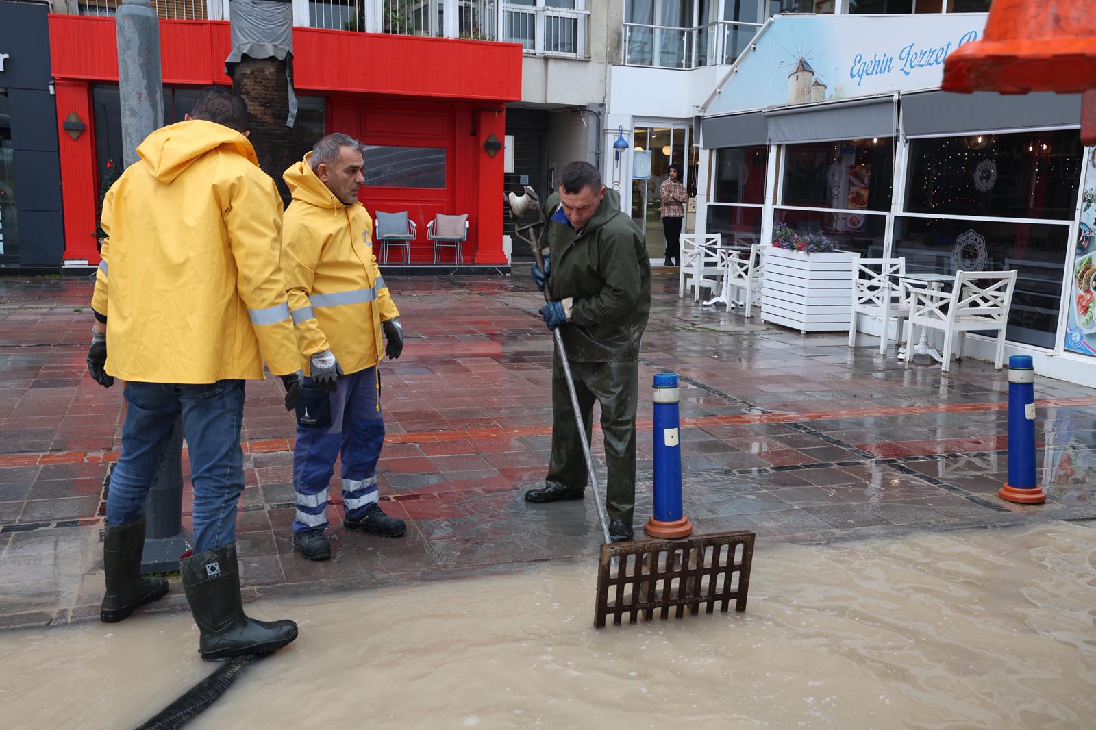 2.02.2026 1C50F495 C295 488A B5Ac 2C537F4F0121