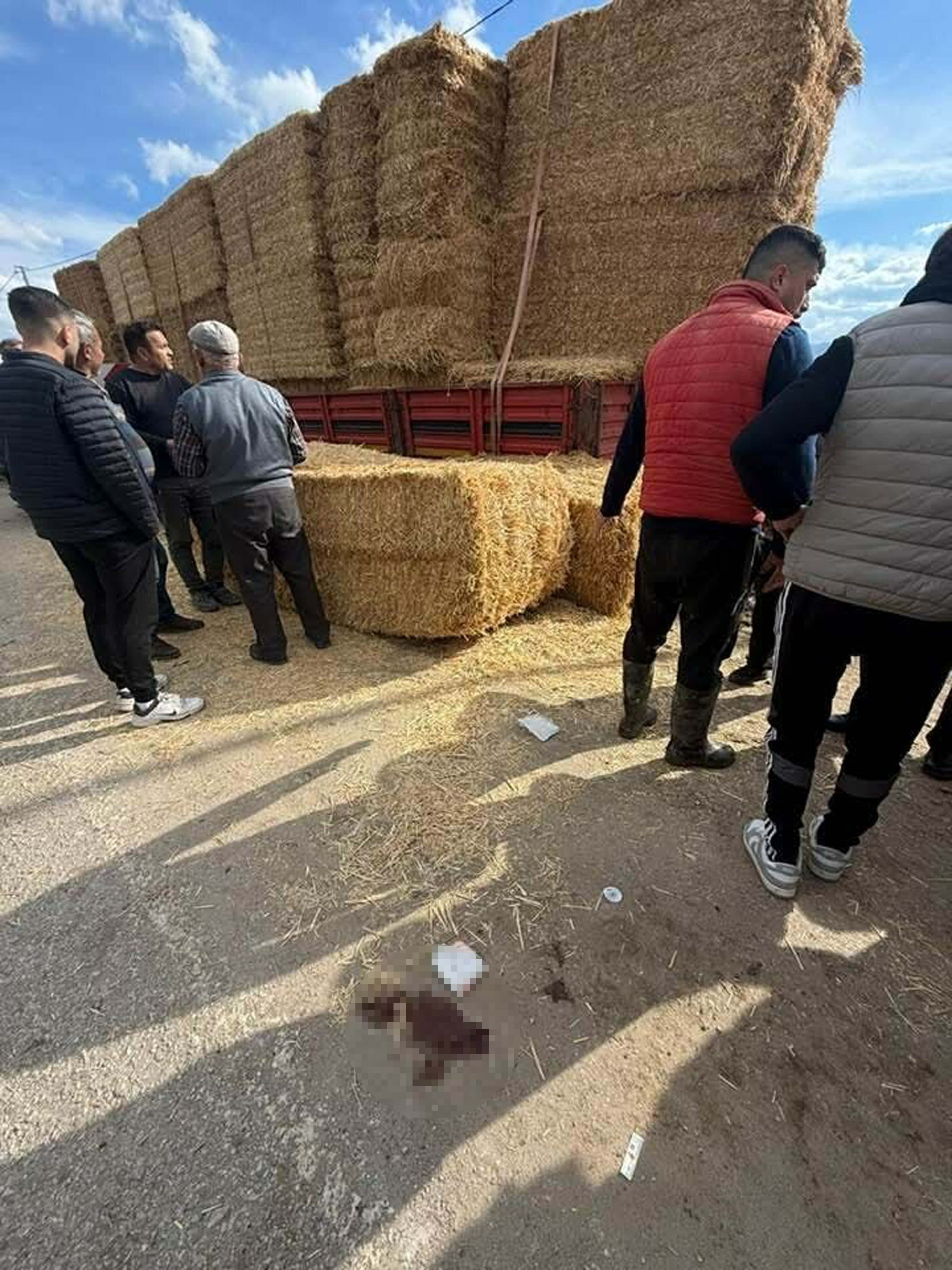 T I R D A N D U S E N S A M A N B A L Y A L A R I N I N A L T I N D A 1179419 350356