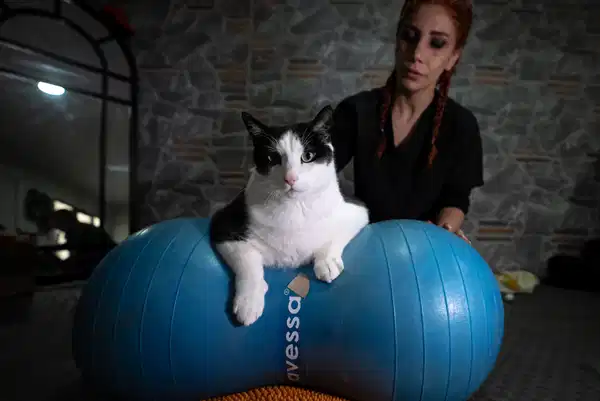 Tartida 12 Kiloyu Goren Boncuk Diyet Ve Pilatesle Zayifliyor 2