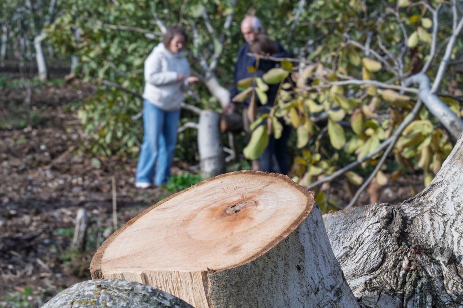 13.03.2026 90517B29 9A6B 495D 8075 7D79695Bb001