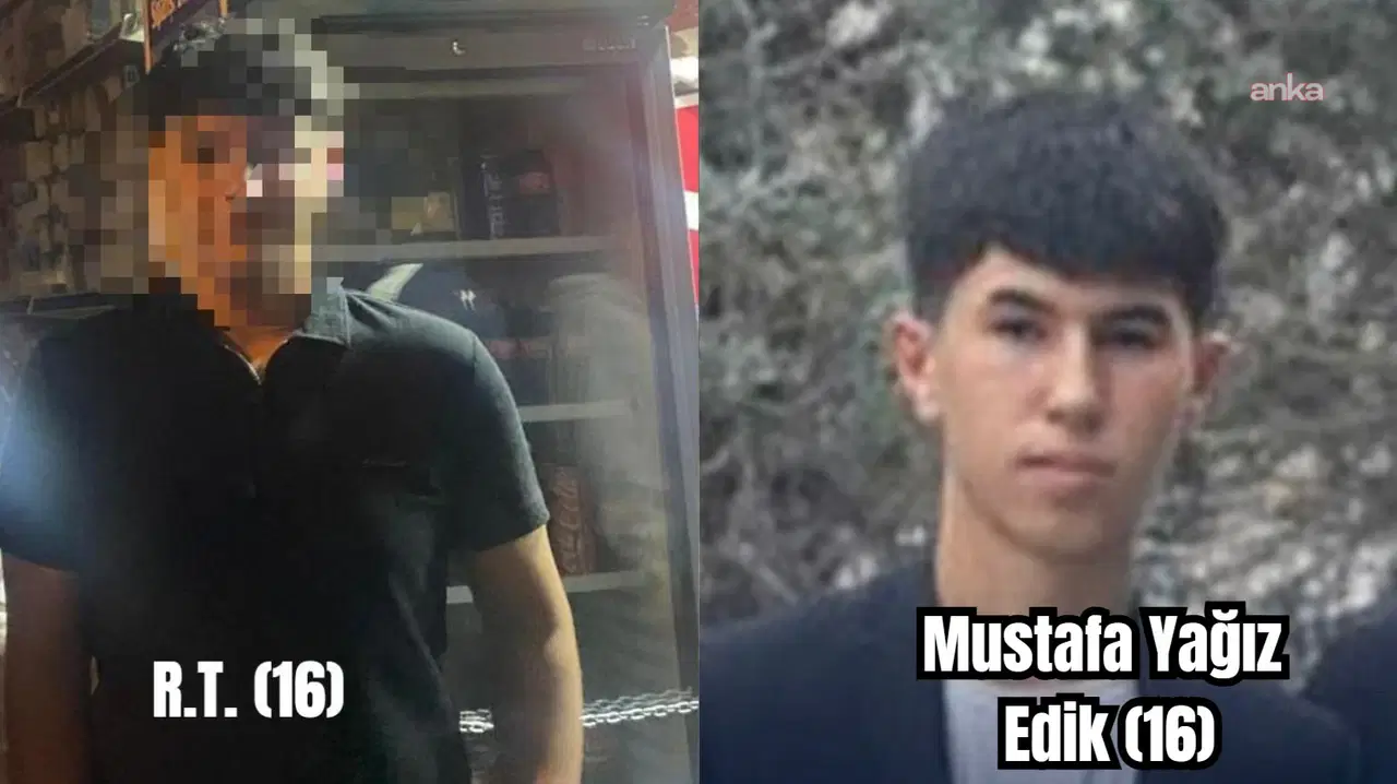 3C36483E E0A8 4Ac7 Bd78 Bcf685C7Cfaa