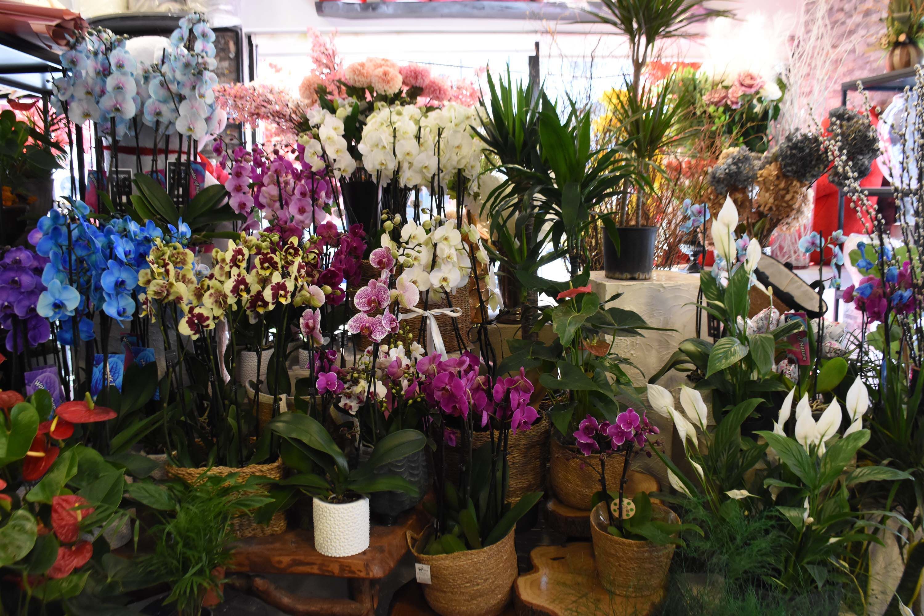 8 M A R T T A K I R M I Z I K A R A N F I L Y O G U N T A L E P 1200407 356999