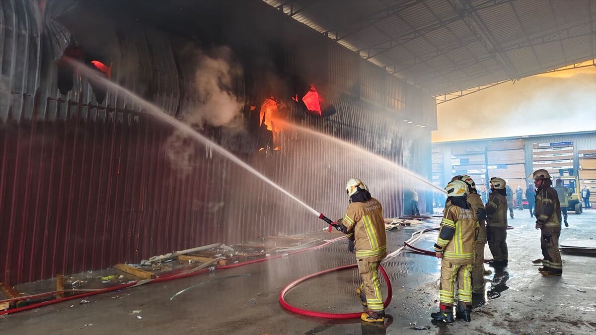 A A 20260325 40918090 40918082 I Z M I R D E A T O L Y E V E D E P O L A R D A C I K A N Y A N G I N A M U D A H A L E E D I L I Y O R