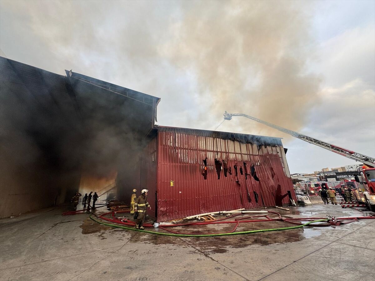 A A 20260325 40918090 40918084 I Z M I R D E A T O L Y E V E D E P O L A R D A C I K A N Y A N G I N A M U D A H A L E E D I L I Y O R-1