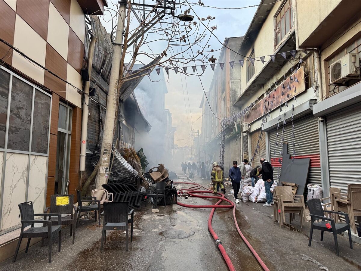 A A 20260325 40918090 40918087 I Z M I R D E A T O L Y E V E D E P O L A R D A C I K A N Y A N G I N A M U D A H A L E E D I L I Y O R