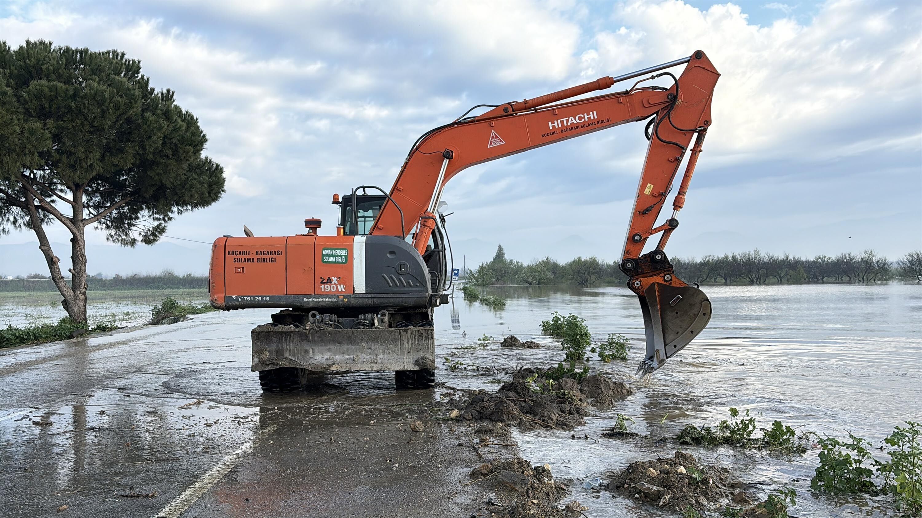 B U Y U K M E N D E R E S N E H R I Y I N E T A S T I T A R I M A 1235458 367396