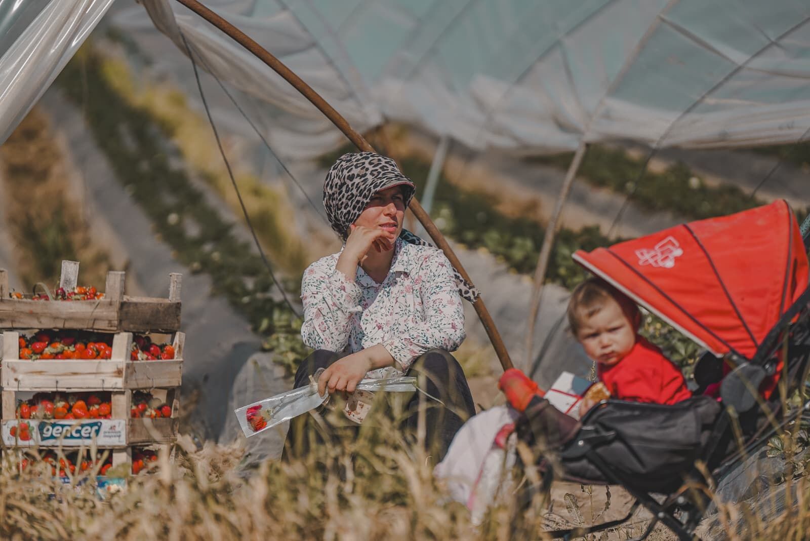 C7F3Bf31 Bd87 47D1 83Fd 9D13853B4Eca