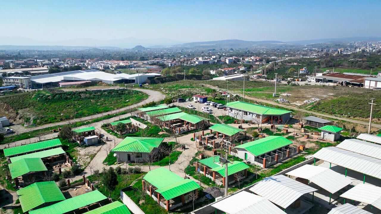 I M G 20260316 W A0006