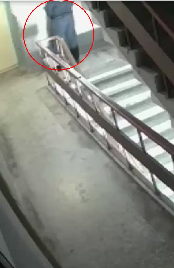 Mide Bulandiran Olay Kurye Siparis Getirdigi Binaya Idrarini Yapti 1