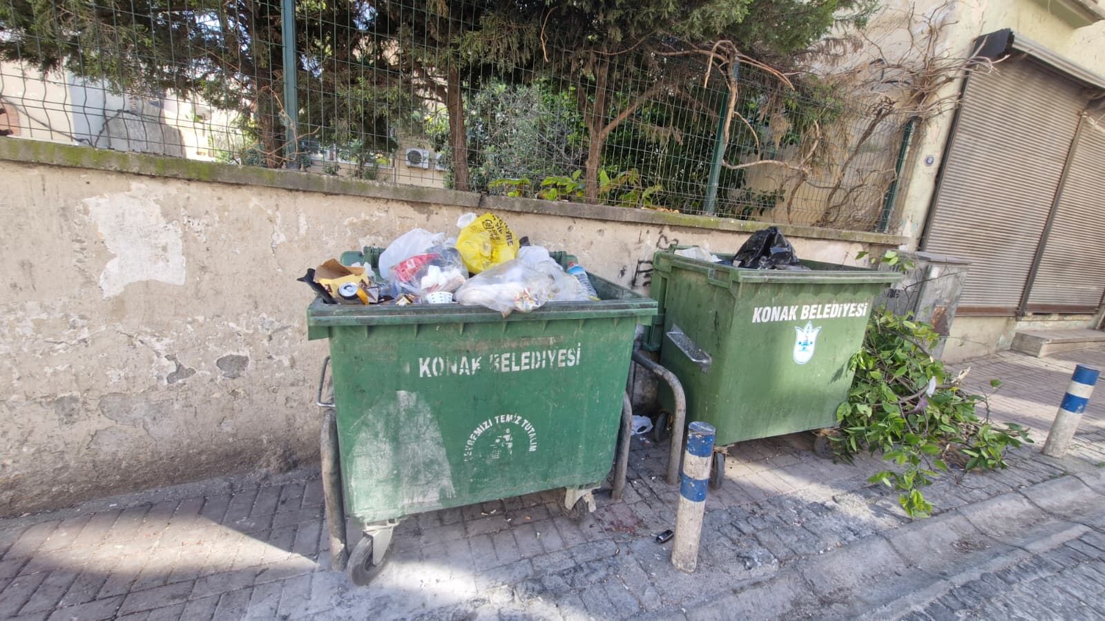 Whatsapp Image 2026 03 09 At 14.55.28456457