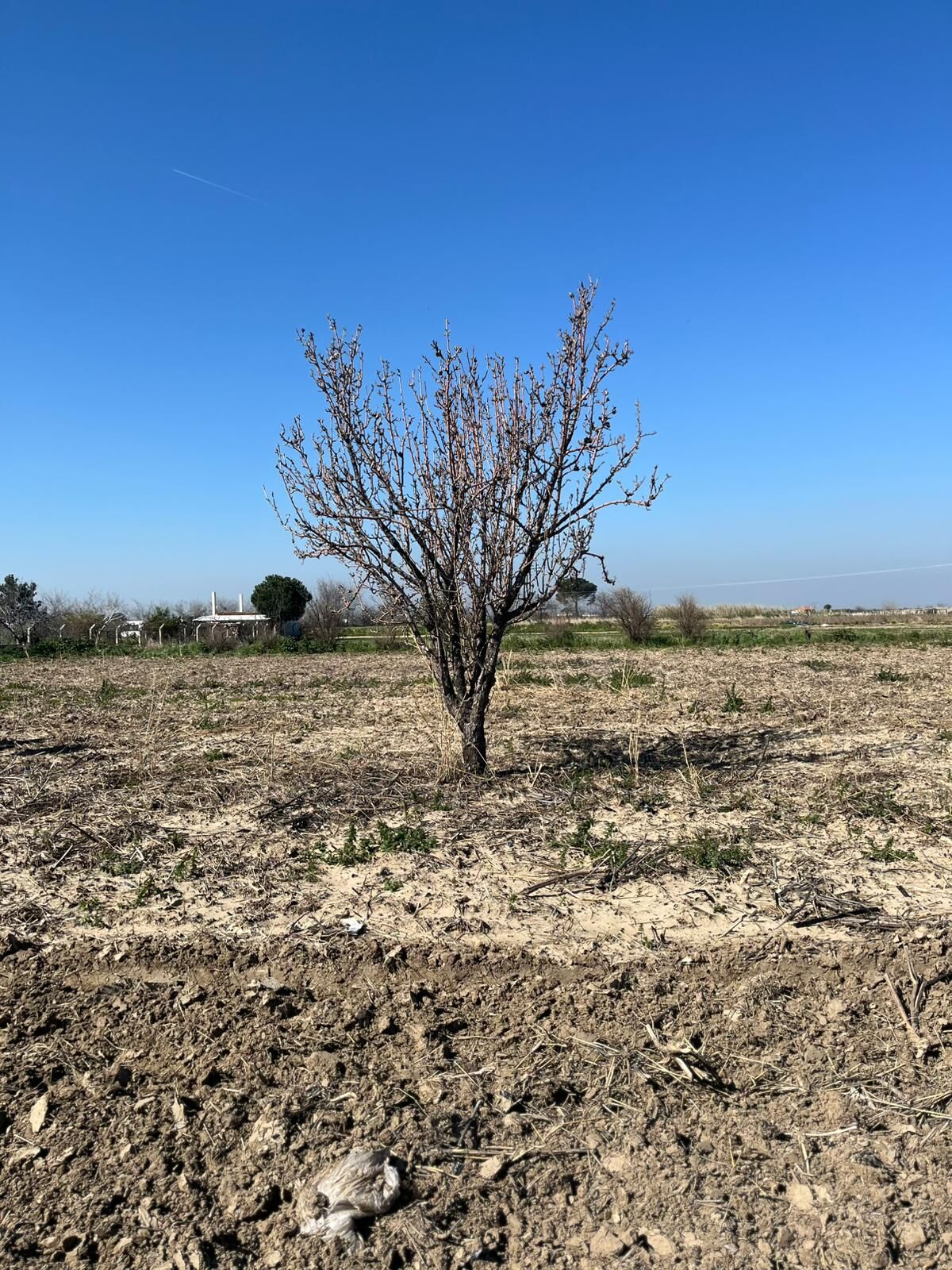 Whatsapp Image 2026 03 11 At 11.12.08 (2)