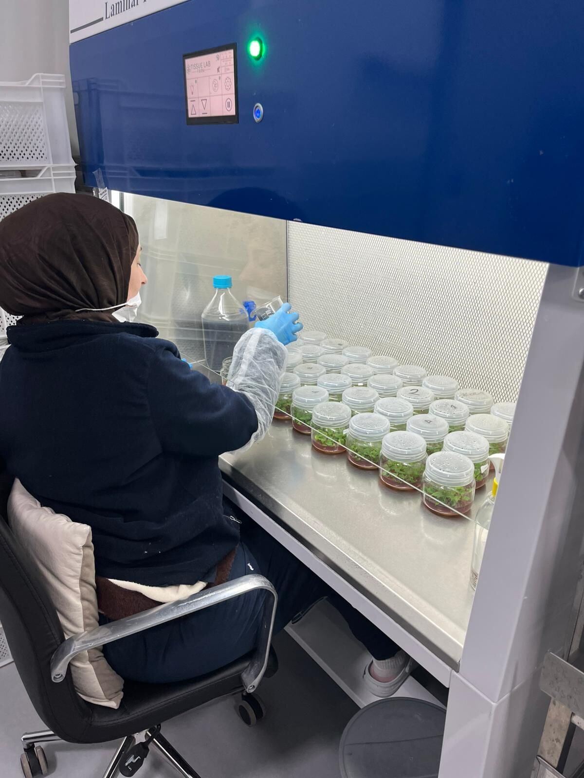 Whatsapp Image 2026 03 11 At 11.12.09