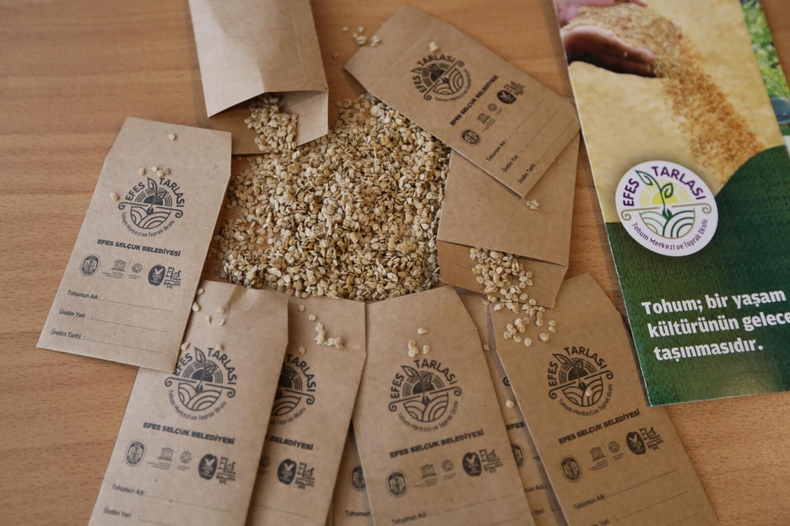 Whatsapp Image 2026 03 17 At 13.16.43