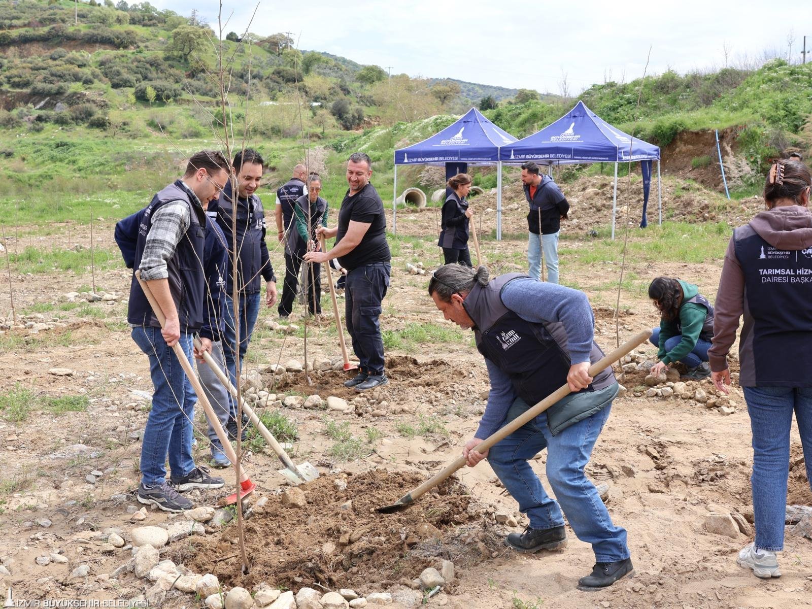 11042026 85158 5 (1)