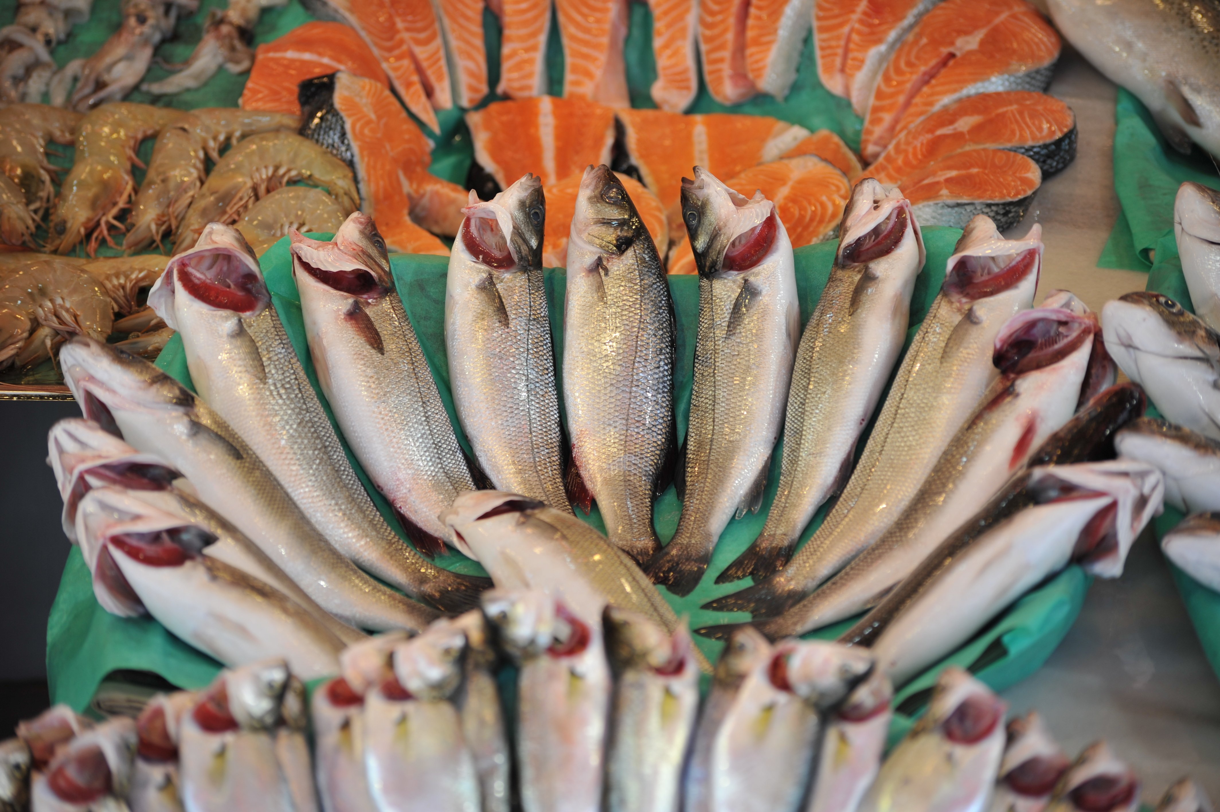 1777361851 1751643163 1718344950 1699708683 1611814954 B A L I K3