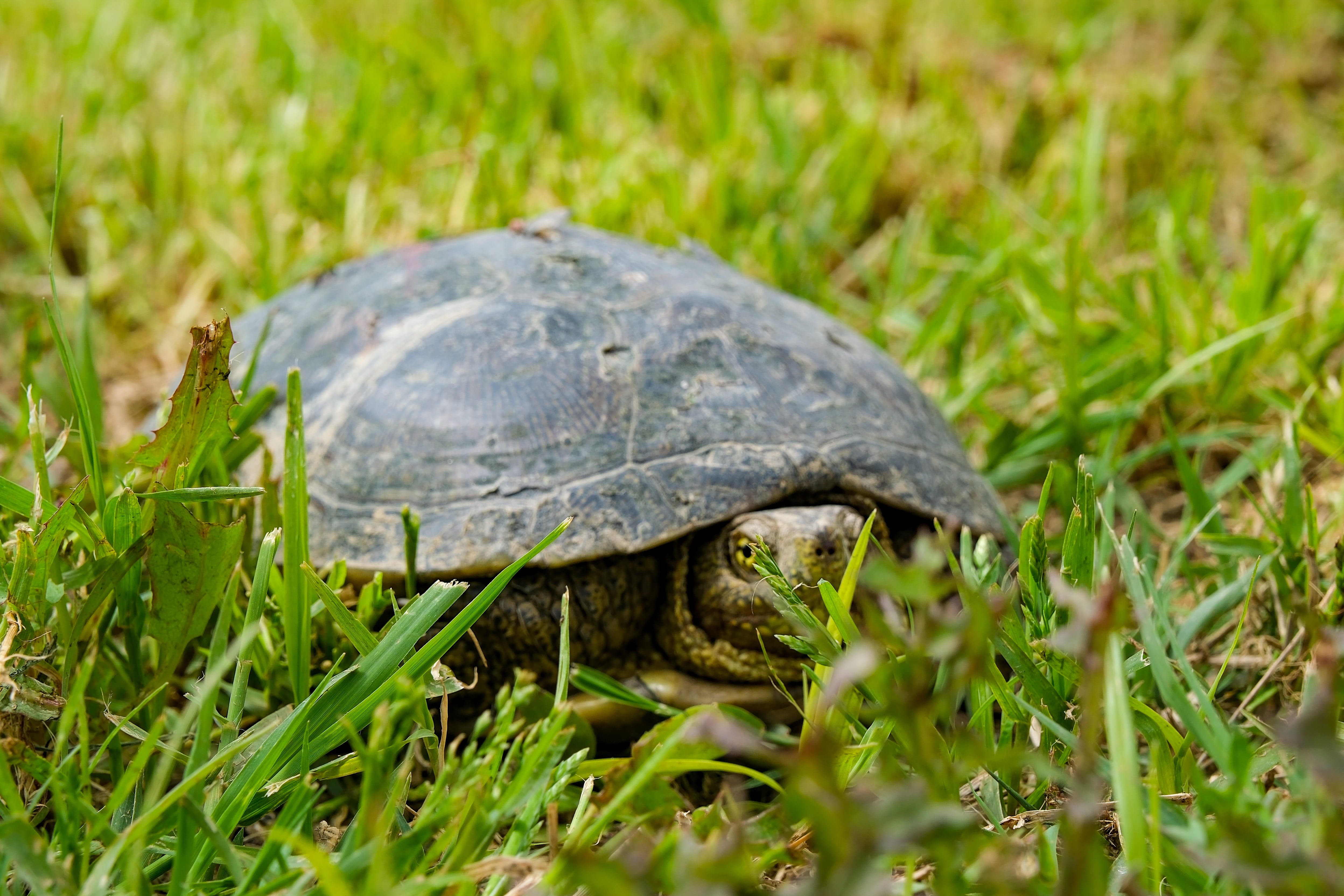 2026 0409 12020800.Jpg