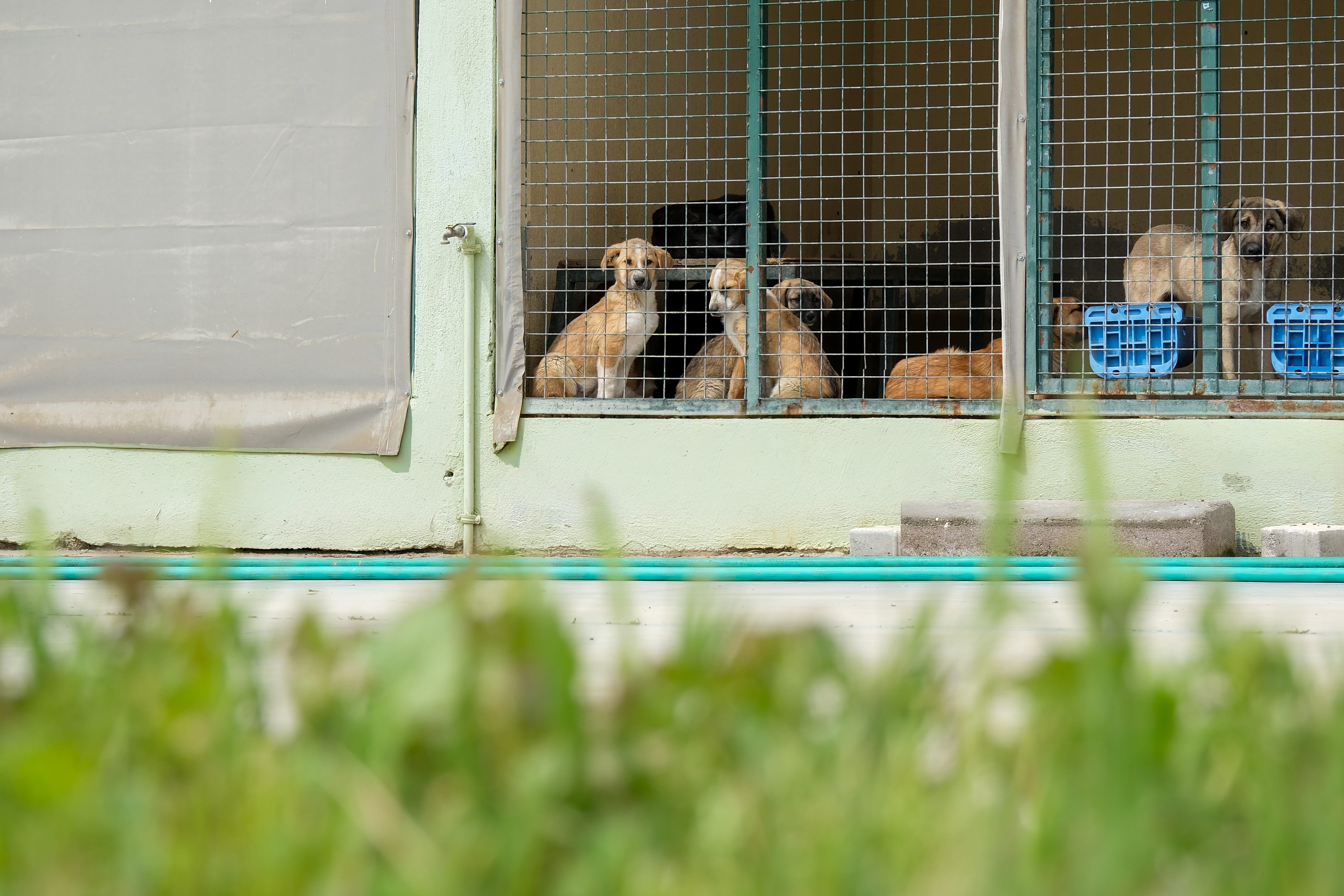 2026 0409 12061300(2).Jpg