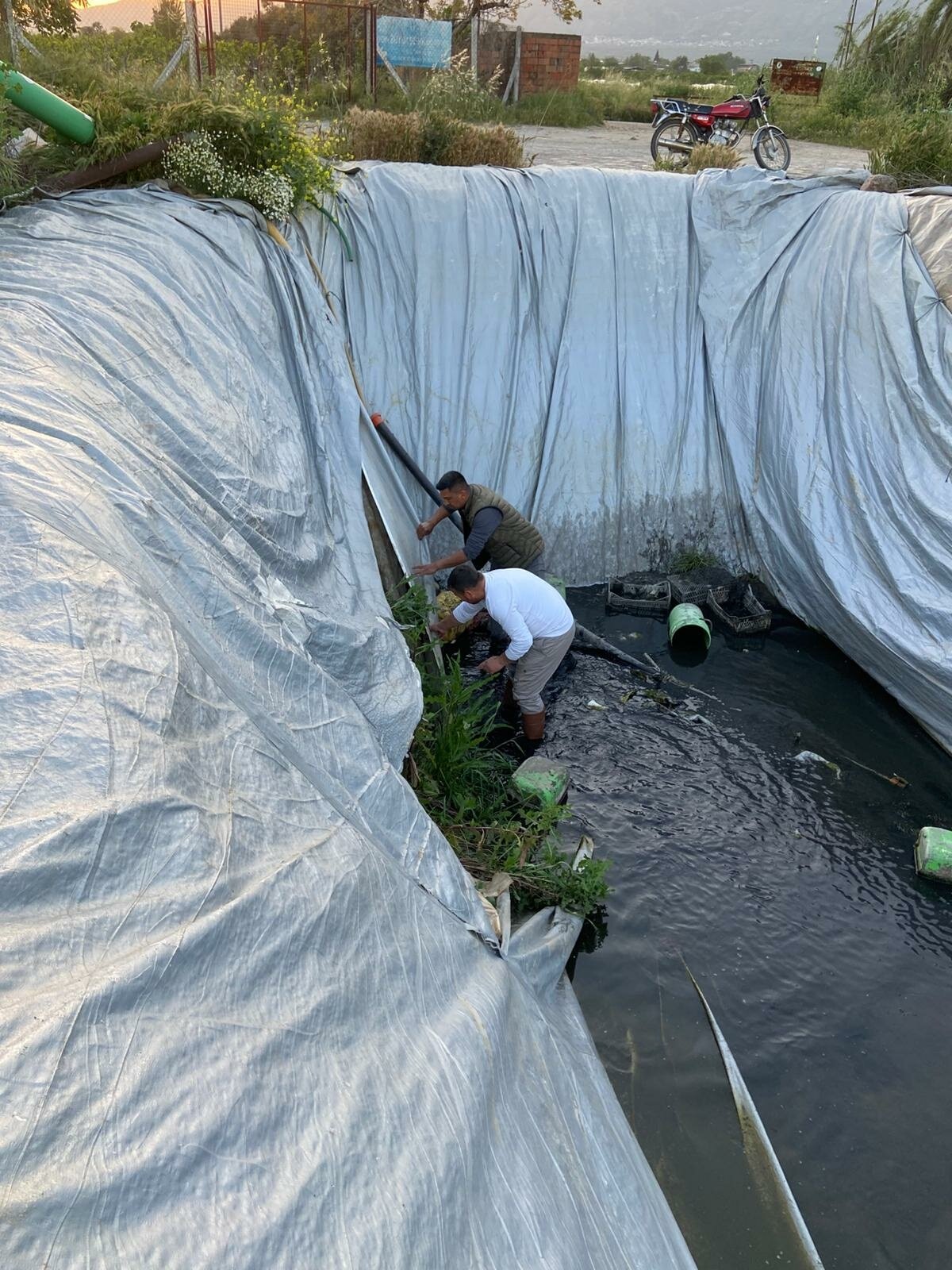 A Y D I N’ D A C I L E K S U L A M A H A V U Z U N A D U S E N 5 Y 1283331 381819