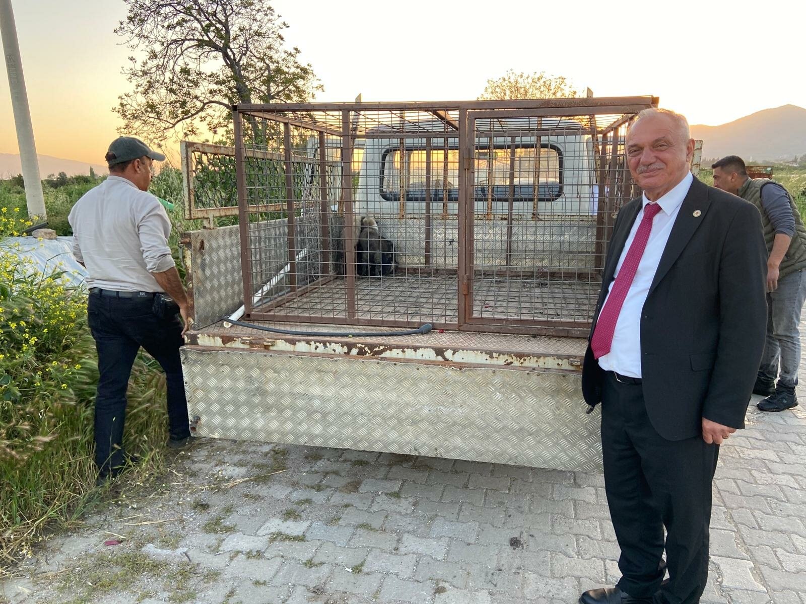 A Y D I N’ D A C I L E K S U L A M A H A V U Z U N A D U S E N 5 Y 1283333 381819