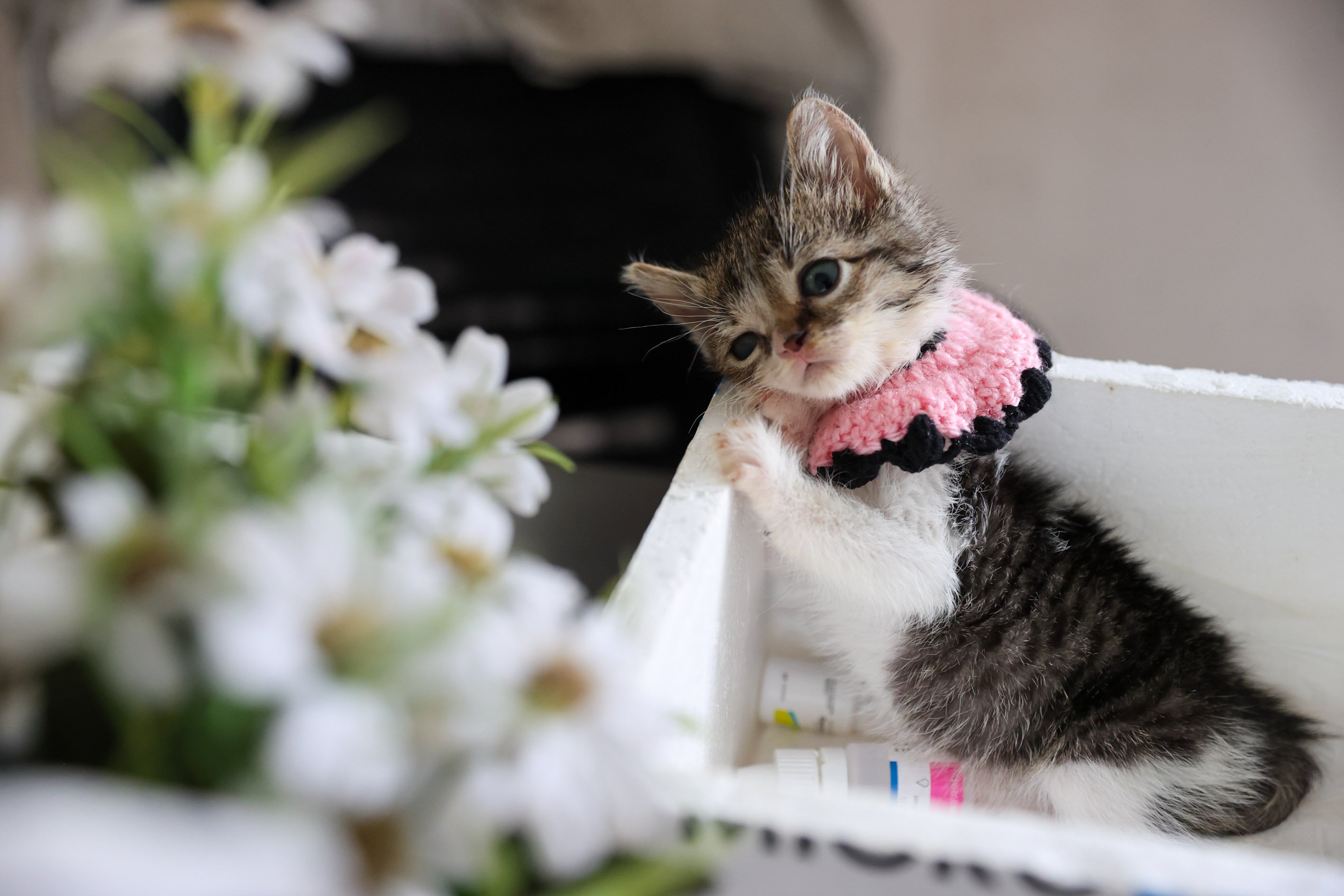 Buca Belediyesi ‘Zero’ Için Seferber Oldu1