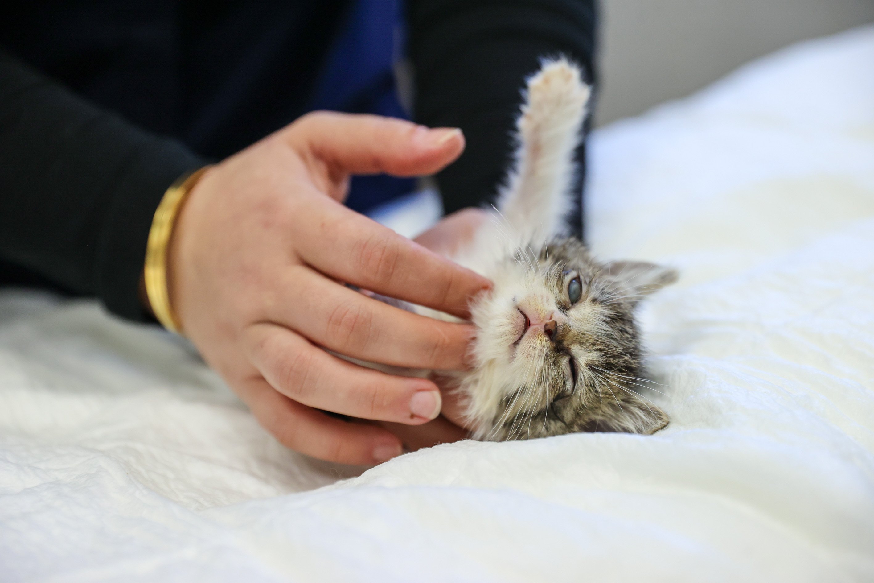 Buca Belediyesi ‘Zero’ Için Seferber Oldu9