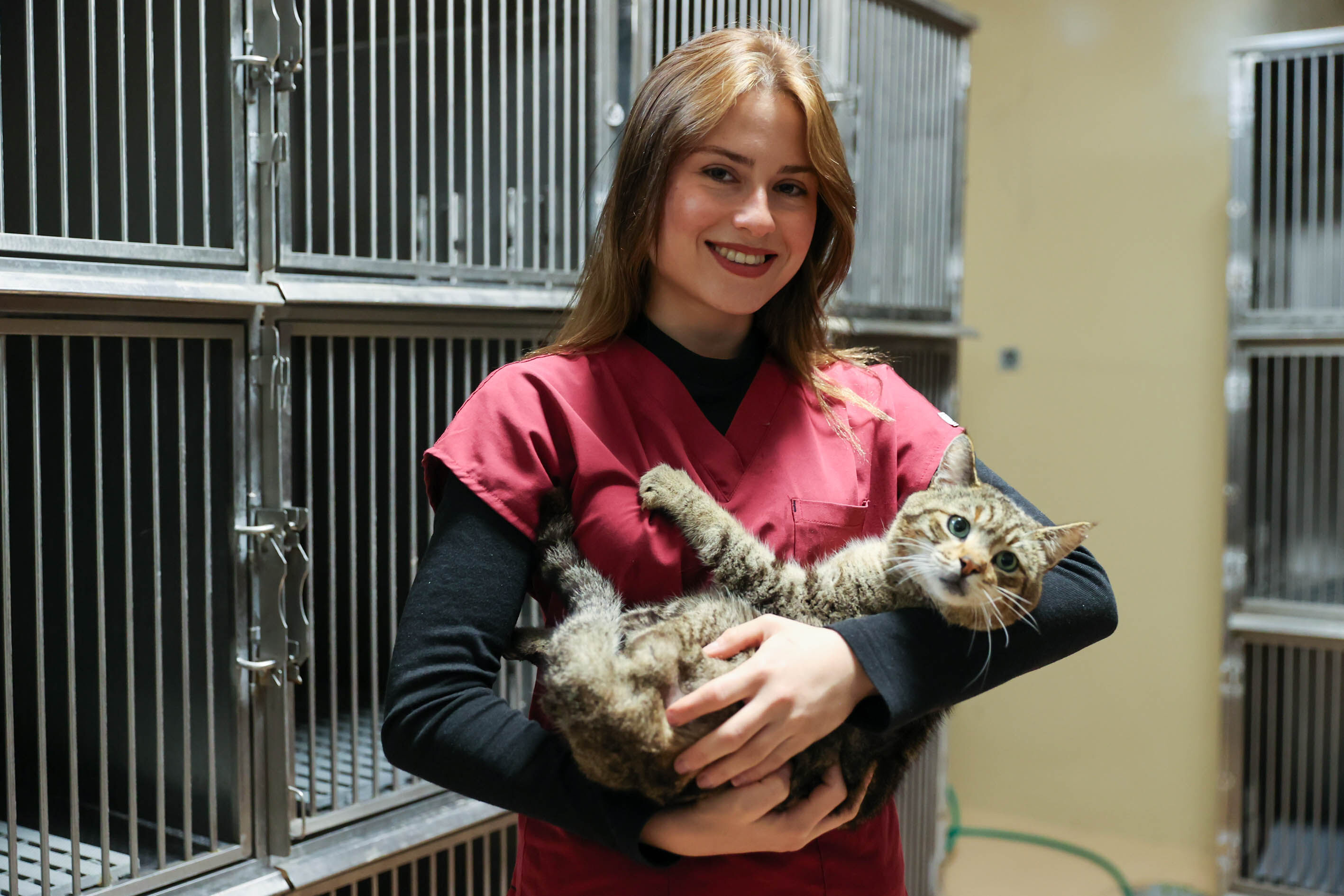 Buca Sokak Hayvanları Günü (6)