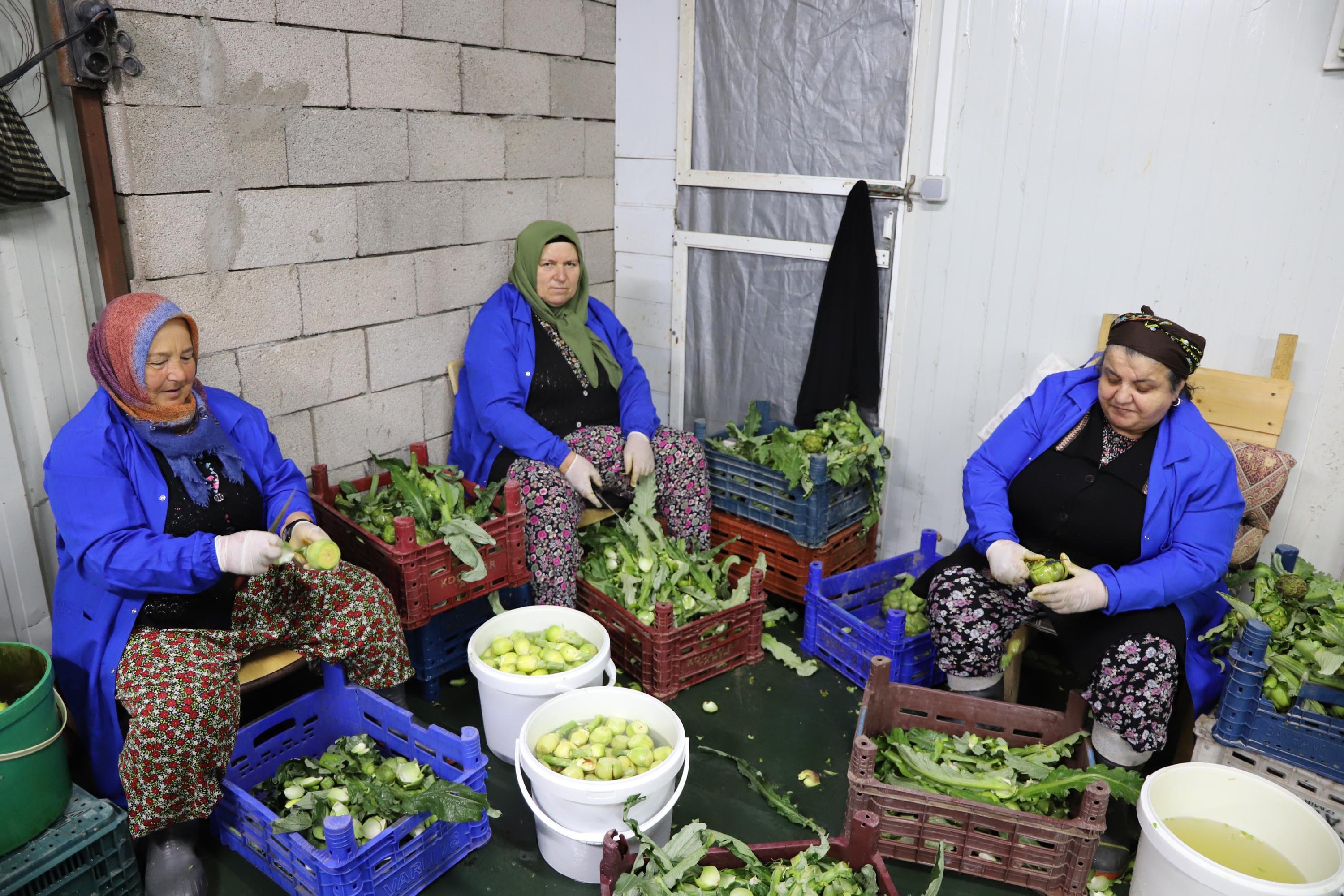 I Z M I R D E E N G I N A R M E S A I S I E K F O T O G R A F L A R 1250061 371912-2