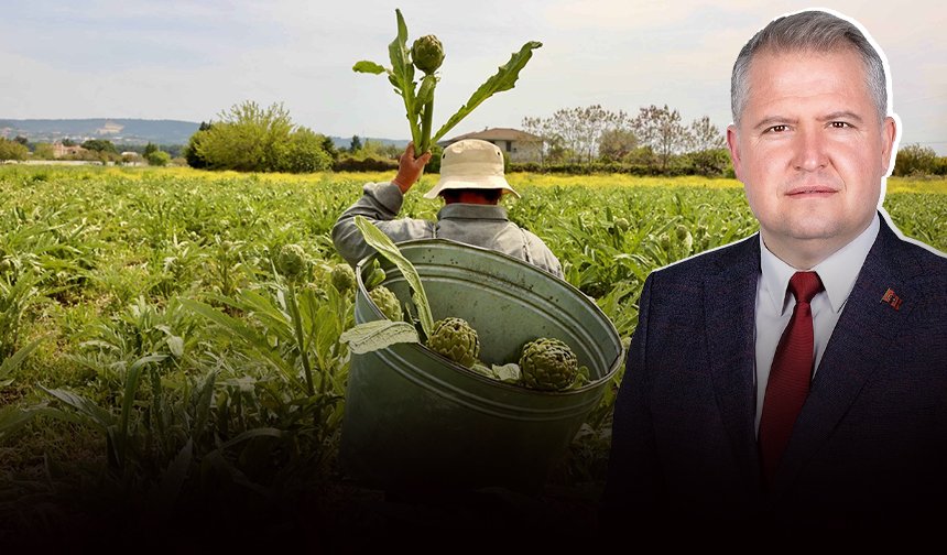 Urla Enginar Festivali için geri sayım başladı: Bu davet bir sofrada buluşmaktır!