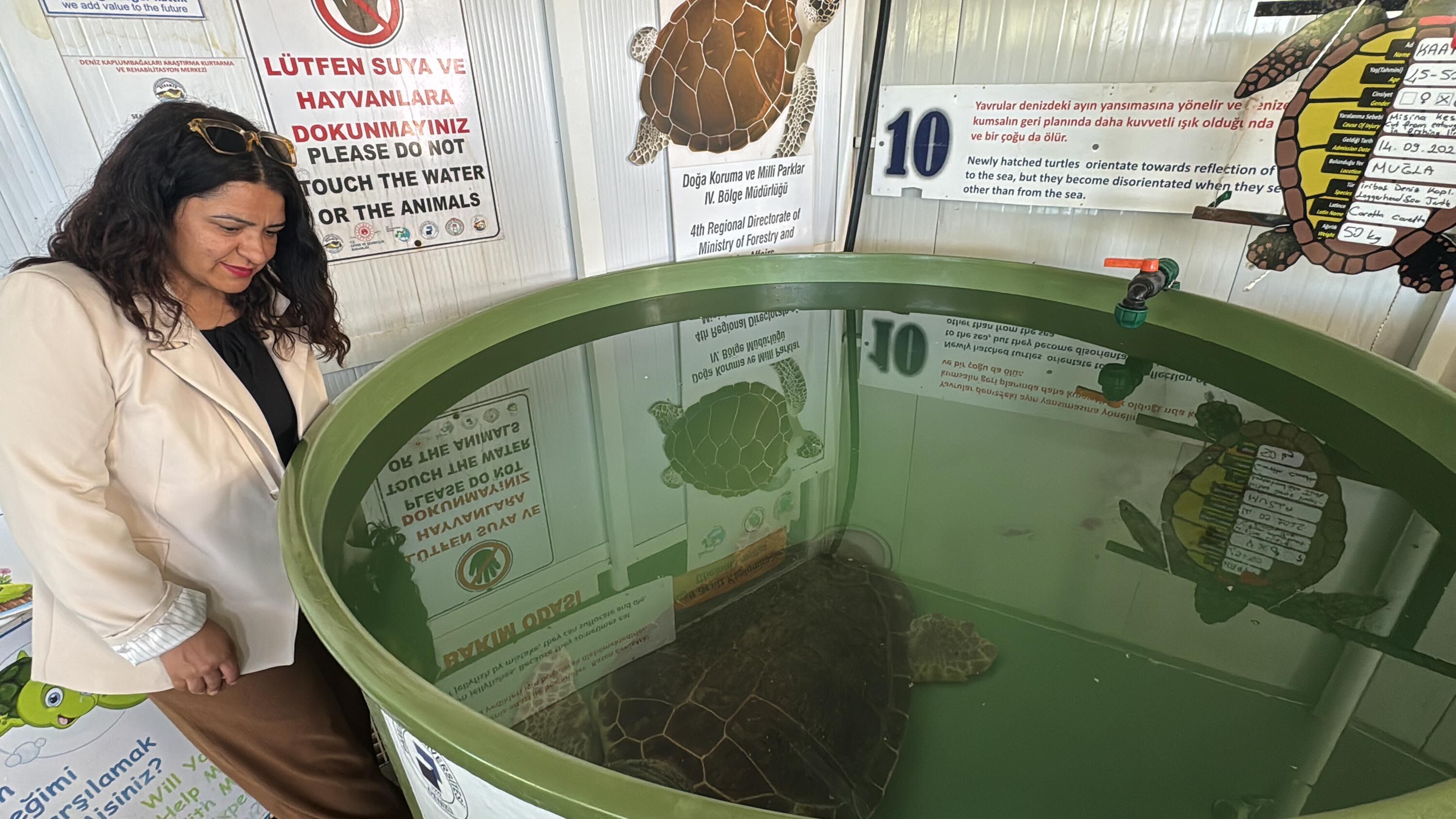 Muğla'da tatilcilere 'caretta caretta' uyarısı