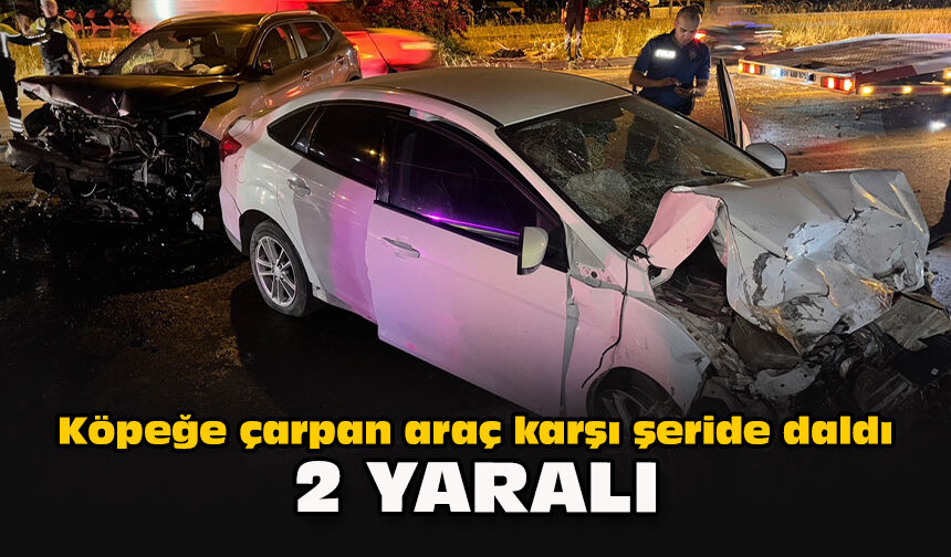 Köpeğe çarpan araç karşı şeride daldı: 2 yaralı