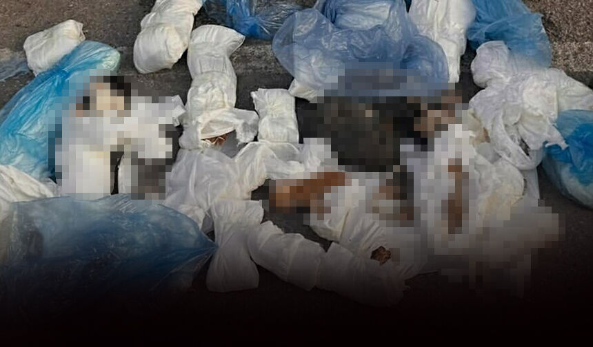 İzmir'de 33 kedinin ölümüyle ilgili gözaltına alınan veteriner için tutuklama talebi!
