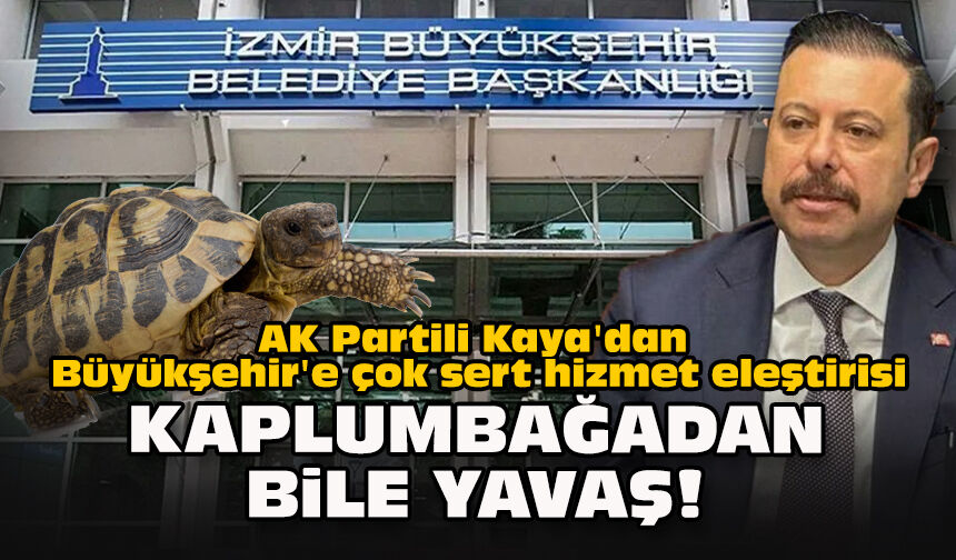 AK Partili Kaya'dan Büyükşehir'e çok sert hizmet eleştirisi... "Kaplumbağadan bile yavaş!"