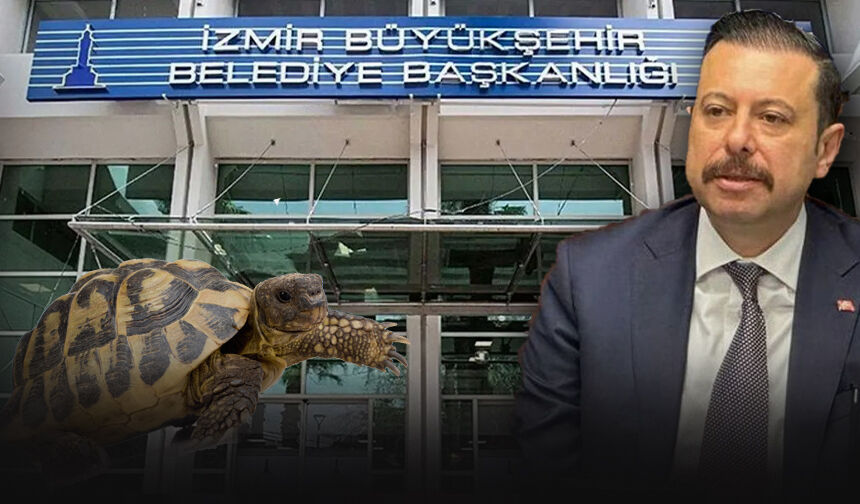 AK Partili Kaya'dan Büyükşehir'e çok sert hizmet eleştirisi... "Kaplumbağadan bile yavaş!"