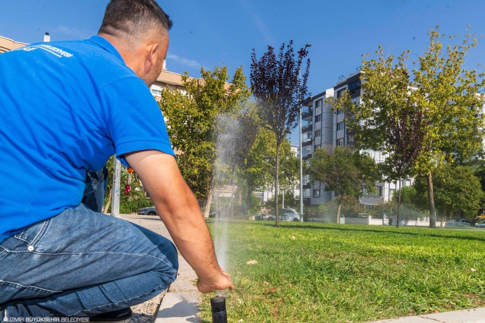 12062026 84922 7