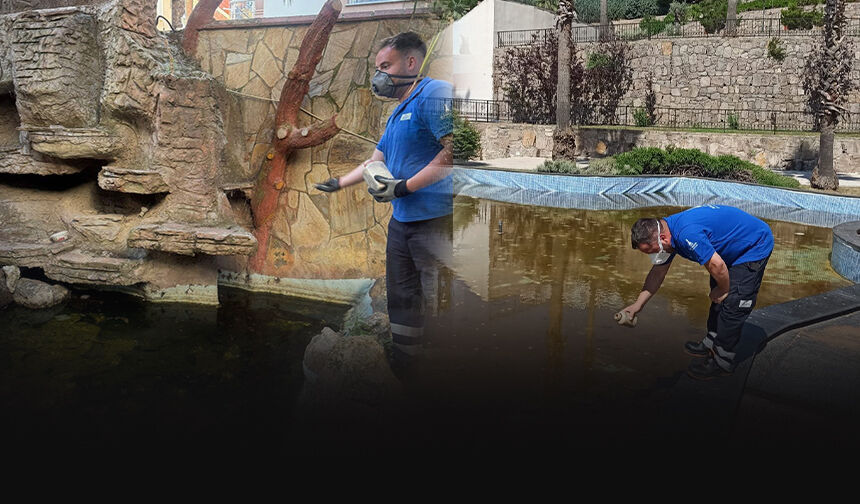İzmir'de sivrisineğe karşı kesintisiz mücadele... 254 bin noktada ilaçlama seferberliği