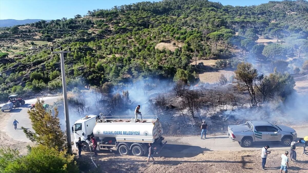 Kavaklıdere'de çıkan orman yangını söndürüldü