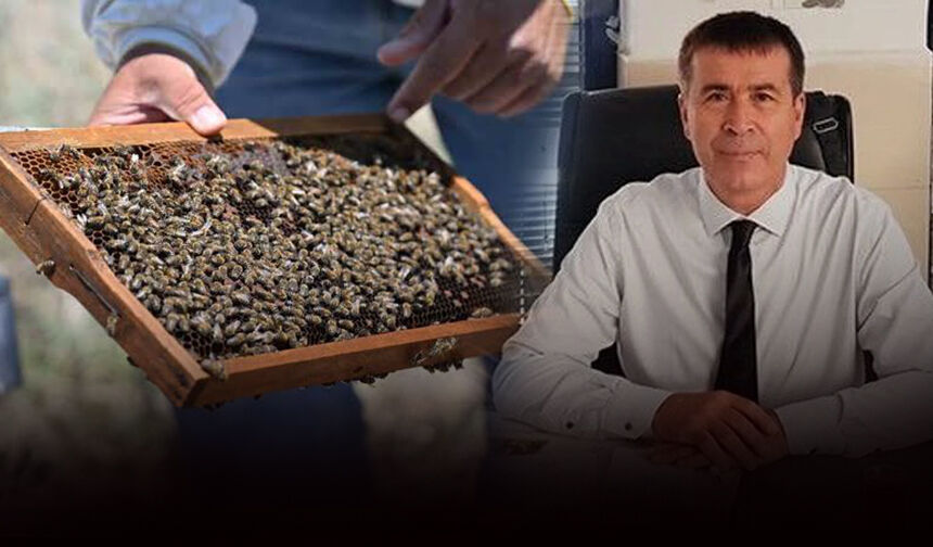 Karakülçe Büyükşehir'in arı yemi projesini anlattı: Amaç üretimi değil yaşamı korumak!