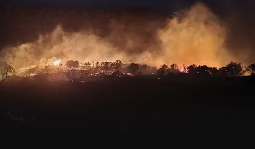 Dikili'de alevler sitelere kadar dayandı... "Trafo patlaması" iddiası