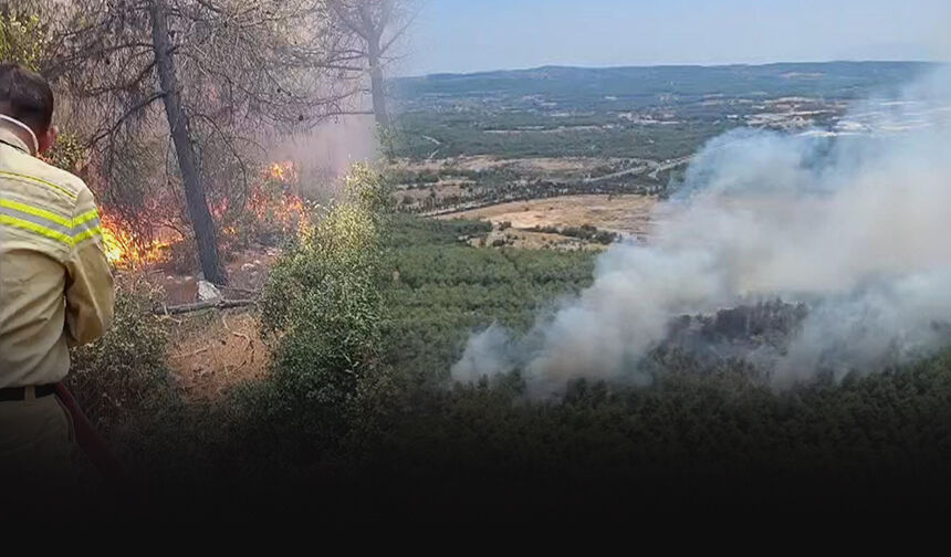 Buca'da orman yangını alarmı!