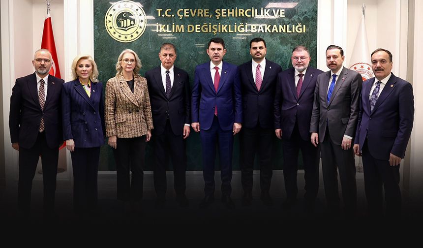 Projje Boş
