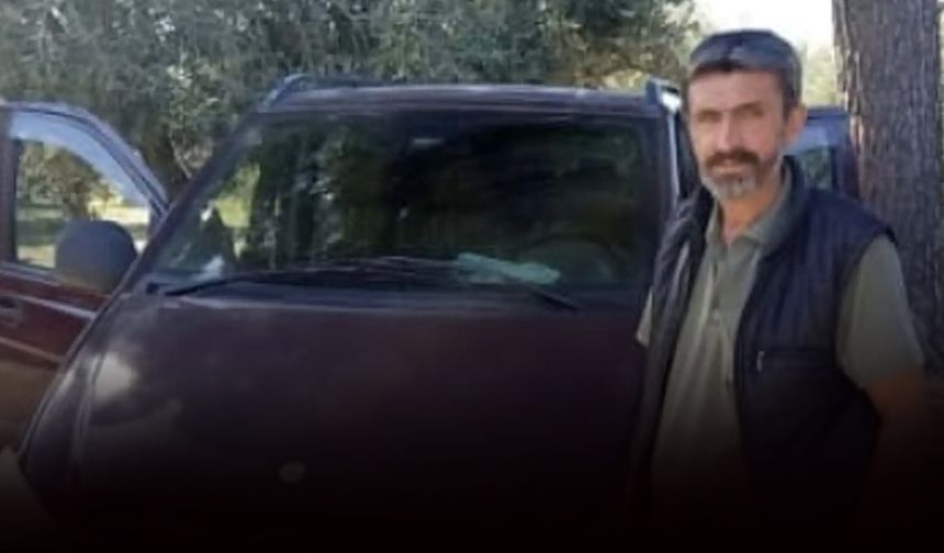 Zeytin toplarken arı soktu, olduğu yere yığıldı: Manisa'da acı olay!